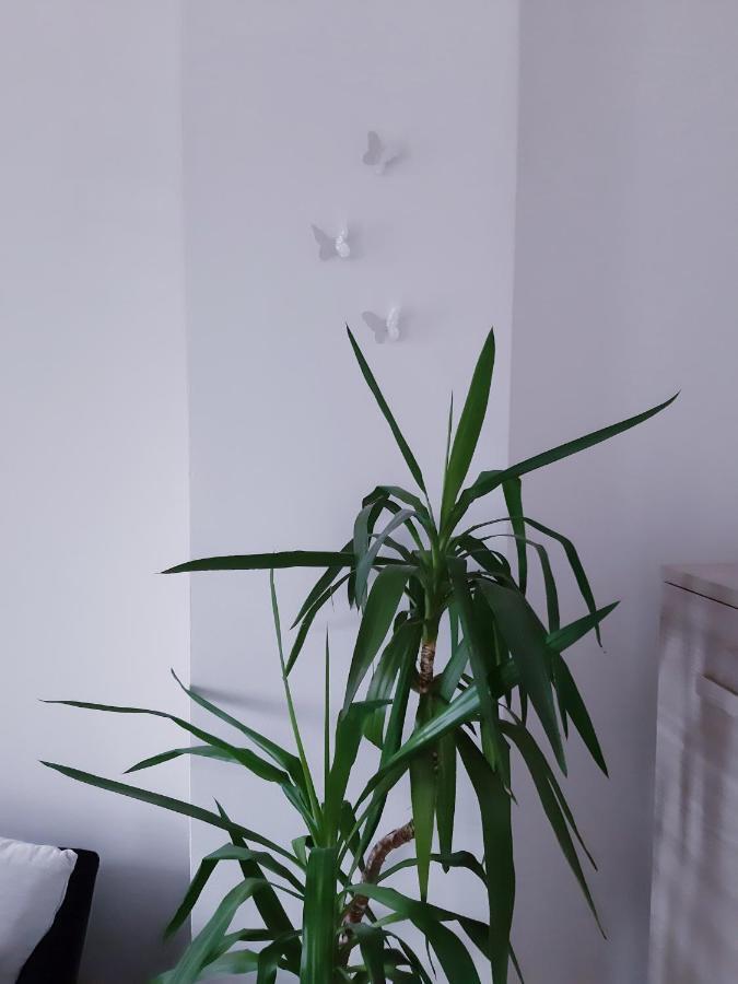 Mariel Holiday Home 莱维科特尔梅 外观 照片